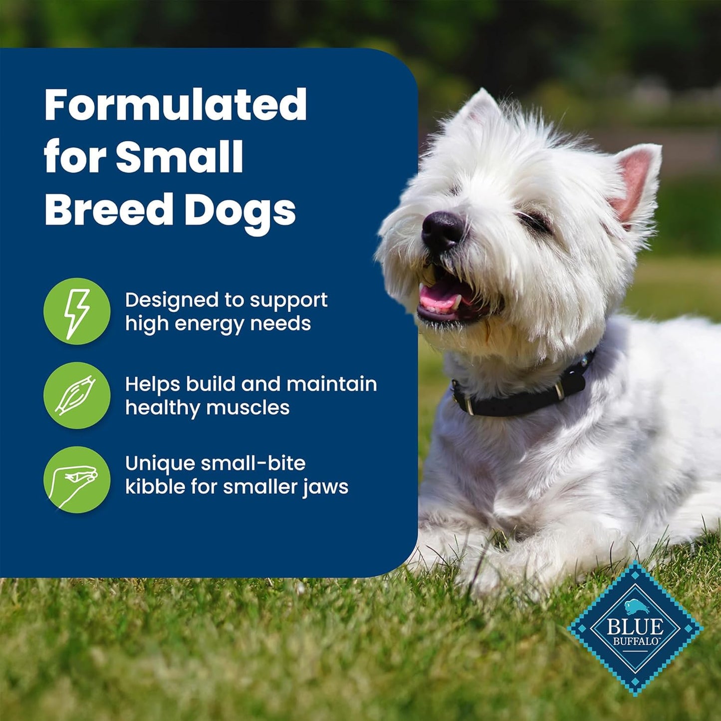 Blue Buffalo Life Protection Formula Adult Small Breed Dry Dog Food - Lamb & Brown Rice Recipe - 15 lb